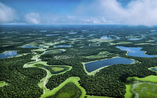 una vista aérea de extensos humedales verdes con lagos azules intercalados