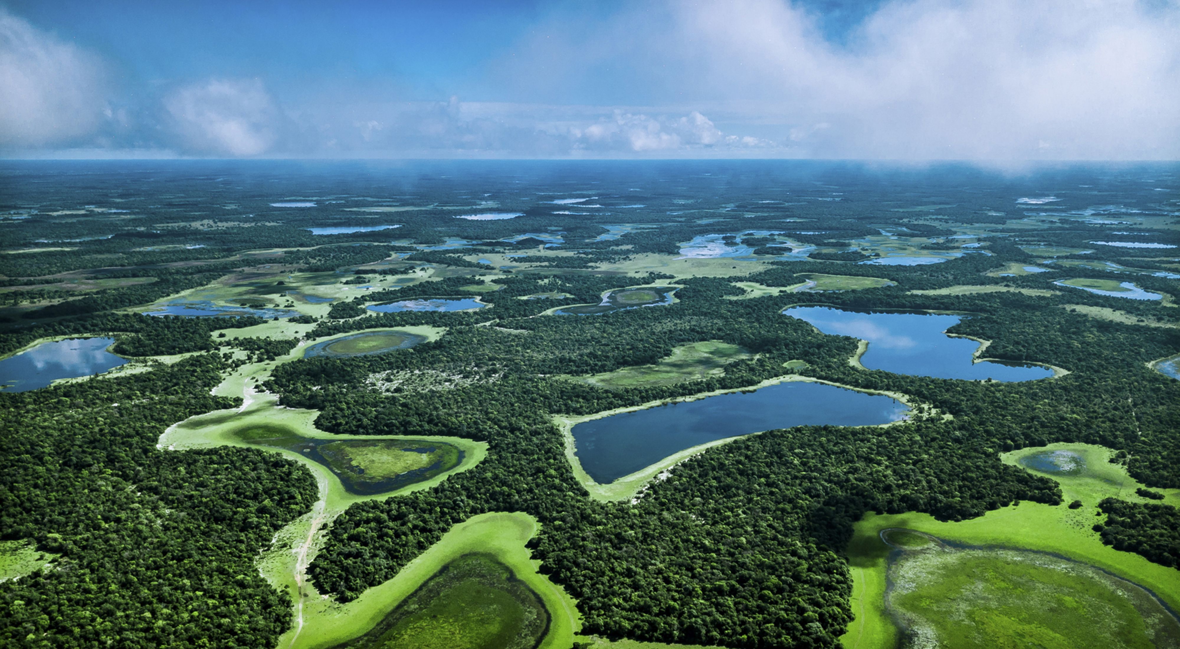 An aerial view of dark and light green wetlands with patches of blue water.