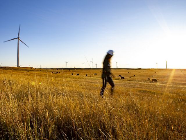 A person walks through a field of golden grasses with wind turbines in the distance.