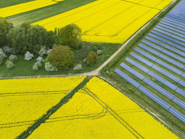 A solar power plant adjacent to canola fields utilizes already converted lands. Siting energy on these lands relieves pressure on remaining natural lands.