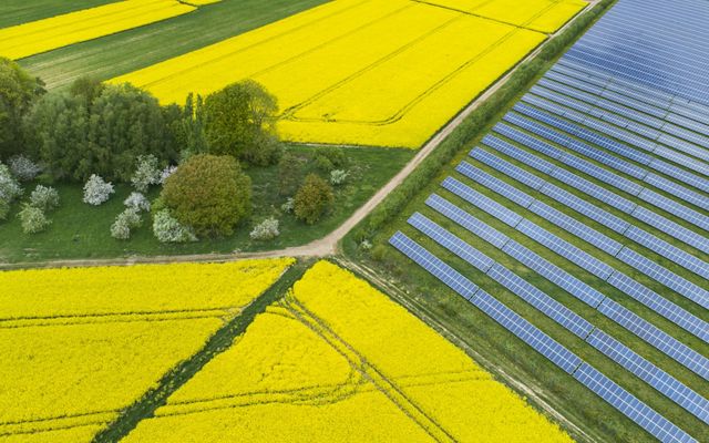 A solar power plant adjacent to canola fields utilizes already converted lands. Siting energy on these lands relieves pressure on remaining natural lands.