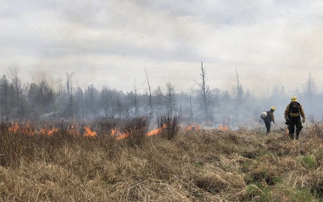 Two workers in protective gear walk alongside a prescribed fire at the Grand River Fen Preserve in Michigan. 