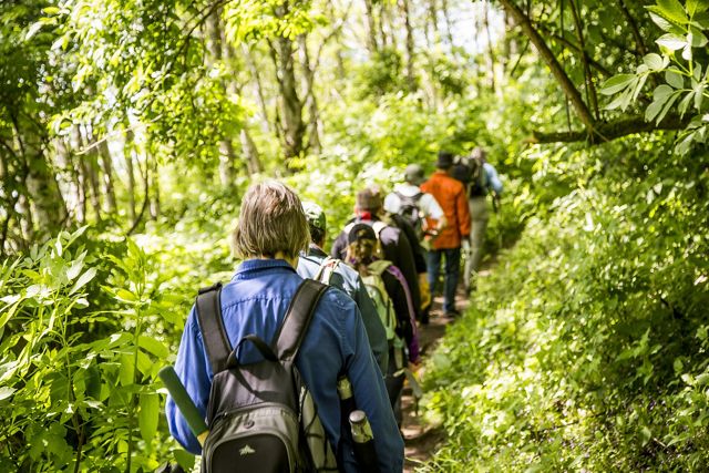 A group hikes on a trail in Oregon