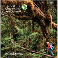 Cover of 2022 Impact Report for Hawaii/Palmyra. A hiker walks up a trail in a heavily forested area.
