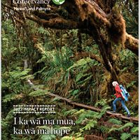 Cover of 2022 Impact Report for Hawaii/Palmyra. A hiker walks up a trail in a heavily forested area.