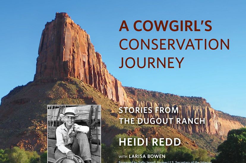 Cover of the book A Cowgirl's Conservation Journey: Stories from the Dugout Ranch.