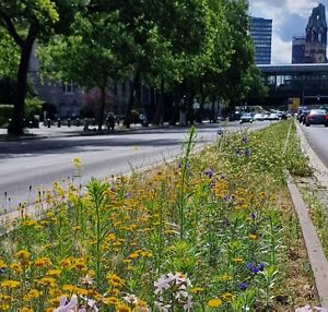 Hardenbergstrasse in Berlin.