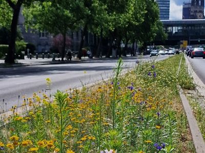 Hardenbergstrasse in Berlin.