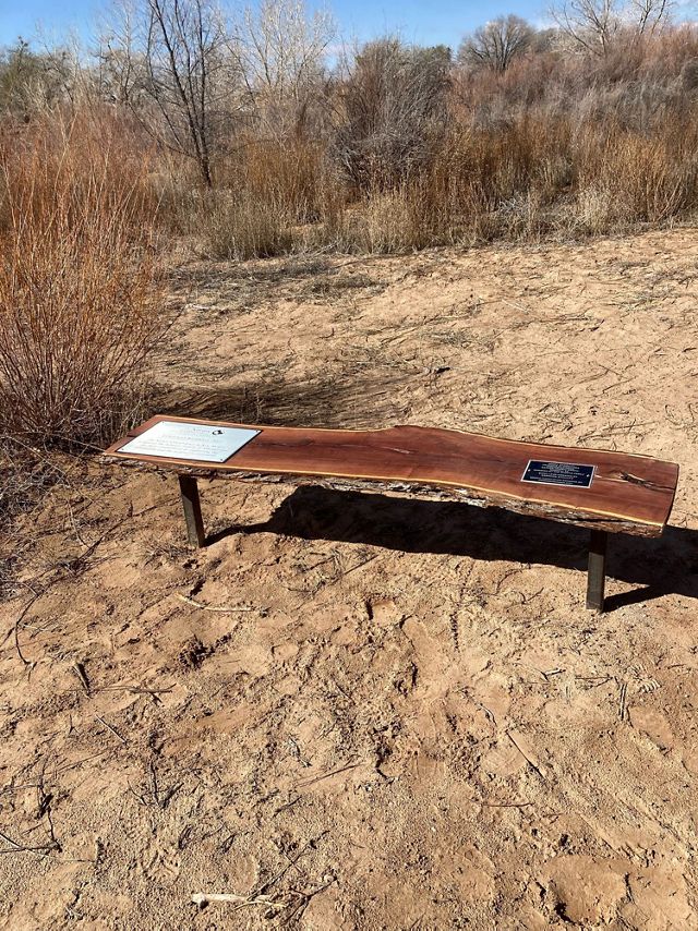 A bench made from a plank of wood stands in a landscape.