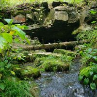 Small waterfall in lush green forest at Henderson Park Nature Preserve.