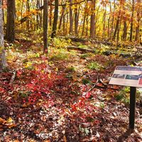 Preserve sign in colorful forest in autumn.