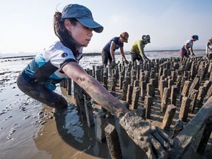 Staff and partners build an artificial oyster reef in Hong Kong