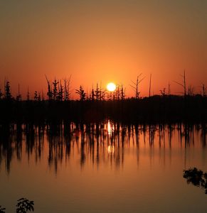 Sunset over Hovey Lake Fish and Wildlife Area in southwestern Indiana.