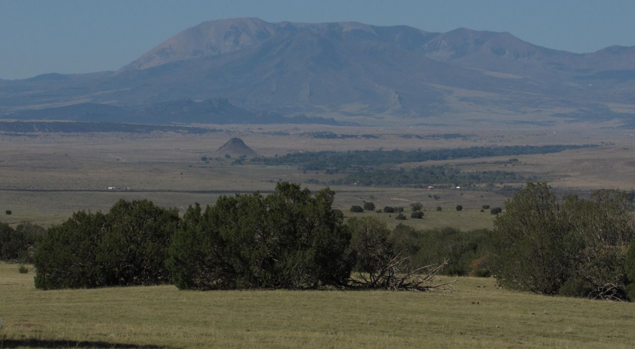 Trees on a vast ranch with mountains in the background.