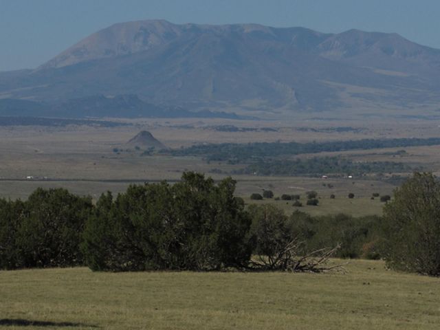 Trees on a vast ranch with mountains in the background.
