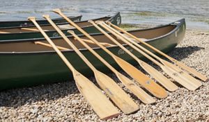Three green canoes on the shore at Emiquon.