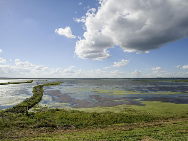 A blue and green wetland reflects a partly cloudy sky. 