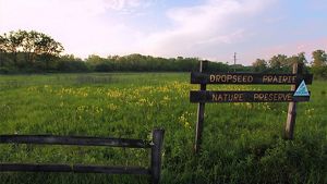 Dropseed Prairie Signage in a grassy field.