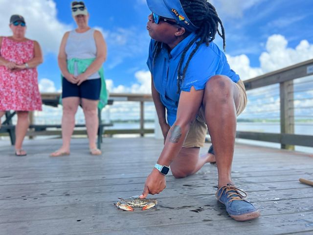 Person on dock in blue shirt holding blue crab. 