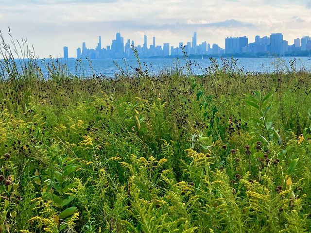 Chicago skyline