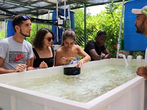 Four people stand in a lab and look at a tank filled with coral as they listen to a lecture.