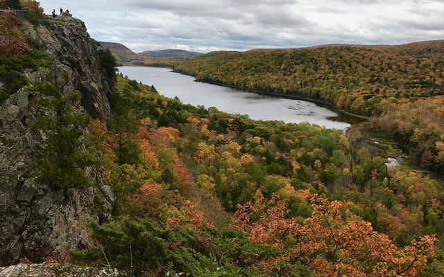 Autumn View