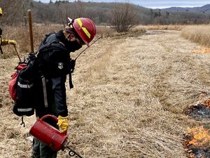 A woman wearing a red hard hat uses a red drip torch to start a fire line in an open grassy field during a controlled burn.