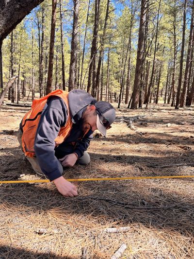 A man in a dark long-sleeve shirt and an orange vest kneels in the forest and collects data with a long, yellow tool.