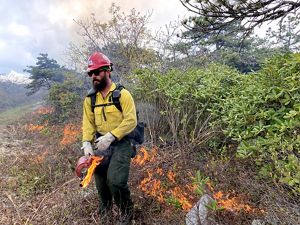 A man with a bushy brown beard holds a red drip torch canister. Behind him a line of fire burns into a stand of tall shrubs during a controlled burn.