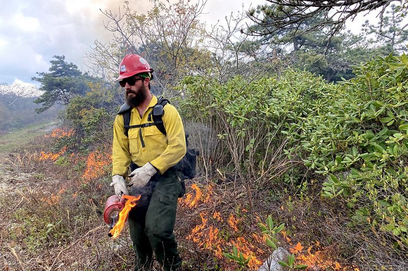 A man with a bushy brown beard holds a red drip torch canister. Behind him a line of fire burns into a stand of tall shrubs during a controlled burn.