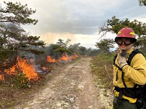 A man wearing yellow fire gear and goggles monitors a low line of fire burning vegetation along the edge of a wide dirt road.