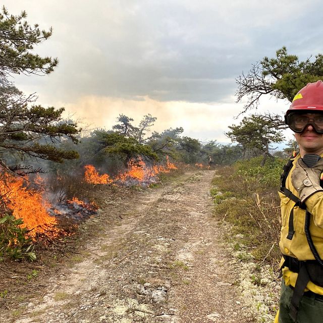A man in a red helmet, backpack and yellow shirt stands next to a dirt path and a line of fire during a controlled burn in the Allegheny Highlands.
