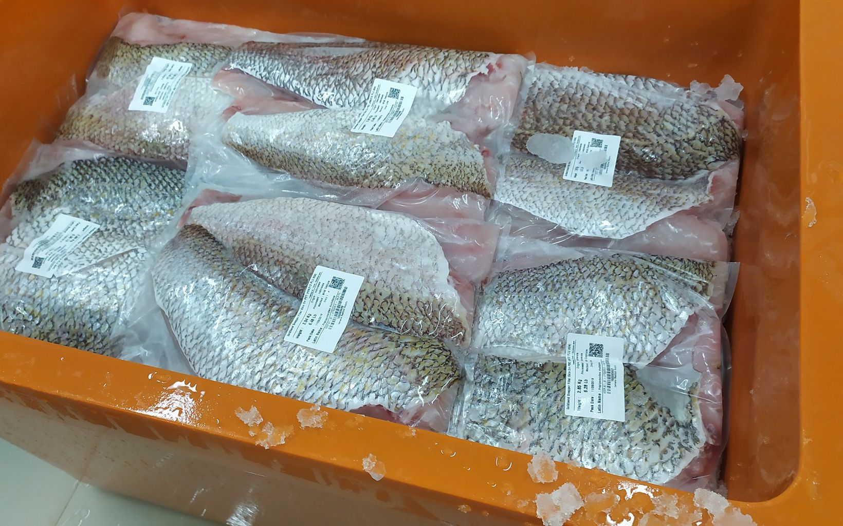 A box full of packaged fish fillets with labels.