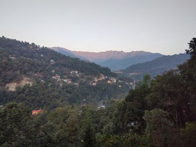 View looking across a vast dense forest, with a few houses nestled in the trees.