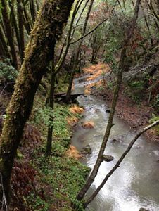 Looking down on a narrow river that bends between steep, tree covered banks.
