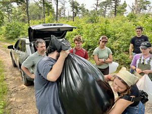 Five people gather around watching as two people use a large black plastic lawn bag to collect sassafras leaves that were collected during the day.