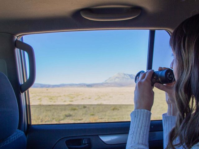 A woman looking through binoculars out of a car window.