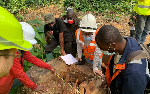TNC staff and forest technicians measure the amount of hollowness at the center of a log in Republic of the Congo.