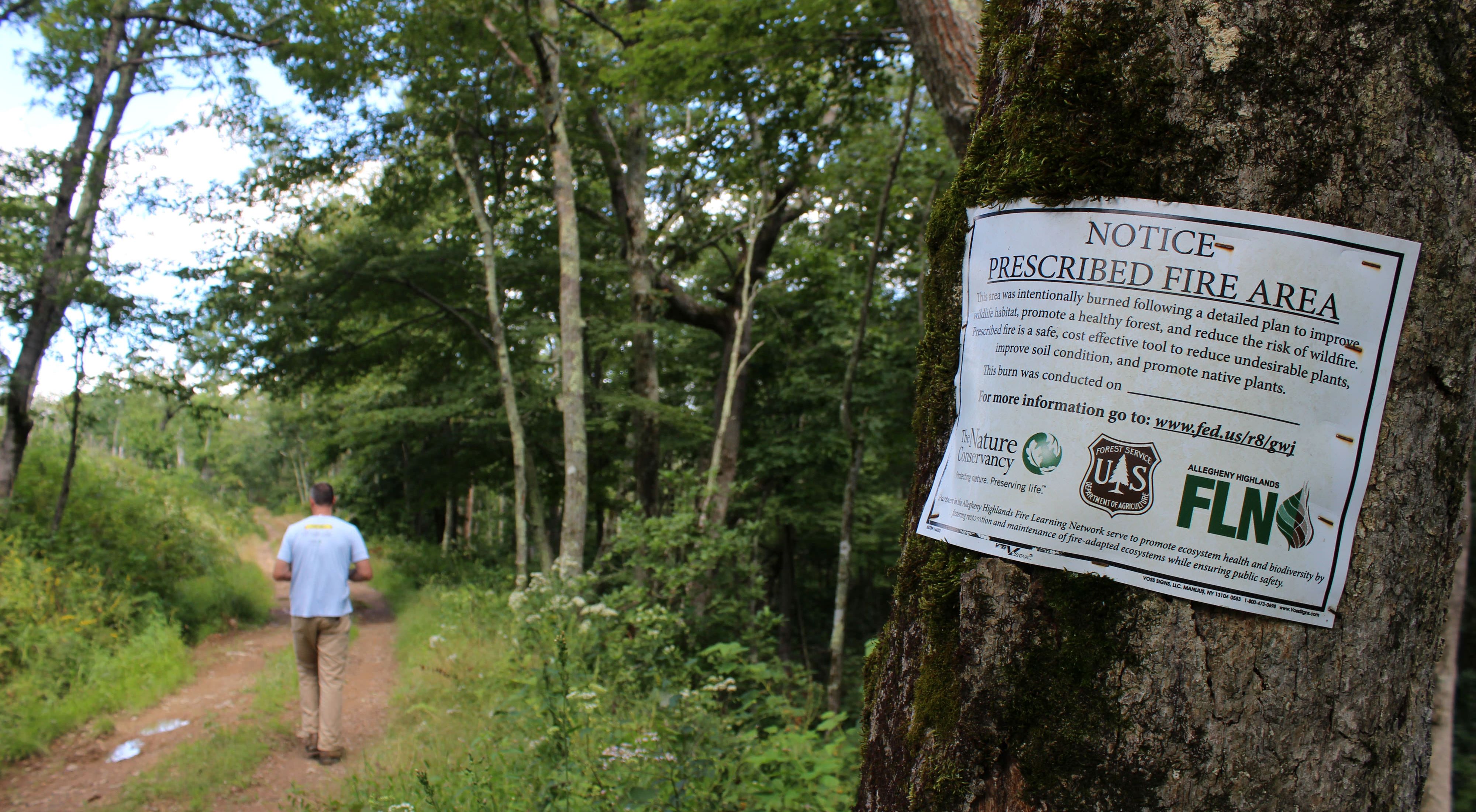 A man in a blue shirt walks down a forest trail. In the foreground a metal sign afixed to a tree announces that this is a prescribed fire area, detailing that the area was intentionally burned.