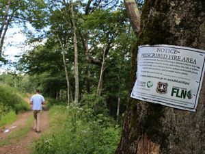 A man in a blue shirt walks down a forest trail. In the foreground a metal sign affixed to a tree announces that this is a prescribed fire area, detailing that the area was intentionally burned.