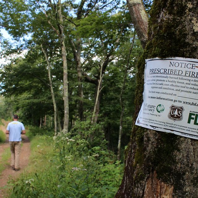 A man in a blue shirt walks down a forest trail. In the foreground a metal sign afixed to a tree announces that this is a prescribed fire area, detailing that the area was intentionally burned.