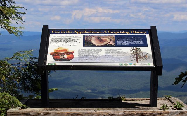 An interpretive sign on Warm Springs Mountain's Bear Loop Trail. The sign overlooks a mountain valley and describes the history of active fire suppression by forest services in the early 20th century.