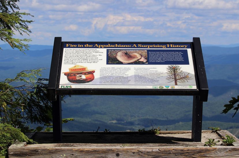 An interpretive sign on Warm Springs Mountain's Bear Loop Trail. The sign overlooks a mountain valley and describes the history of active fire suppression by forest services in the early 20th century.