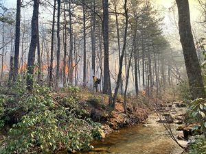A man wearing yellow fire gear stands in a forest. Fire and smoke rise in front of him from a controlled burn. A wide creek flows behind him at the bottom of a steep bank. 