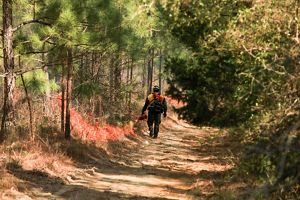 A mand walks down a sandy path with a drip torch setting fire to brush.