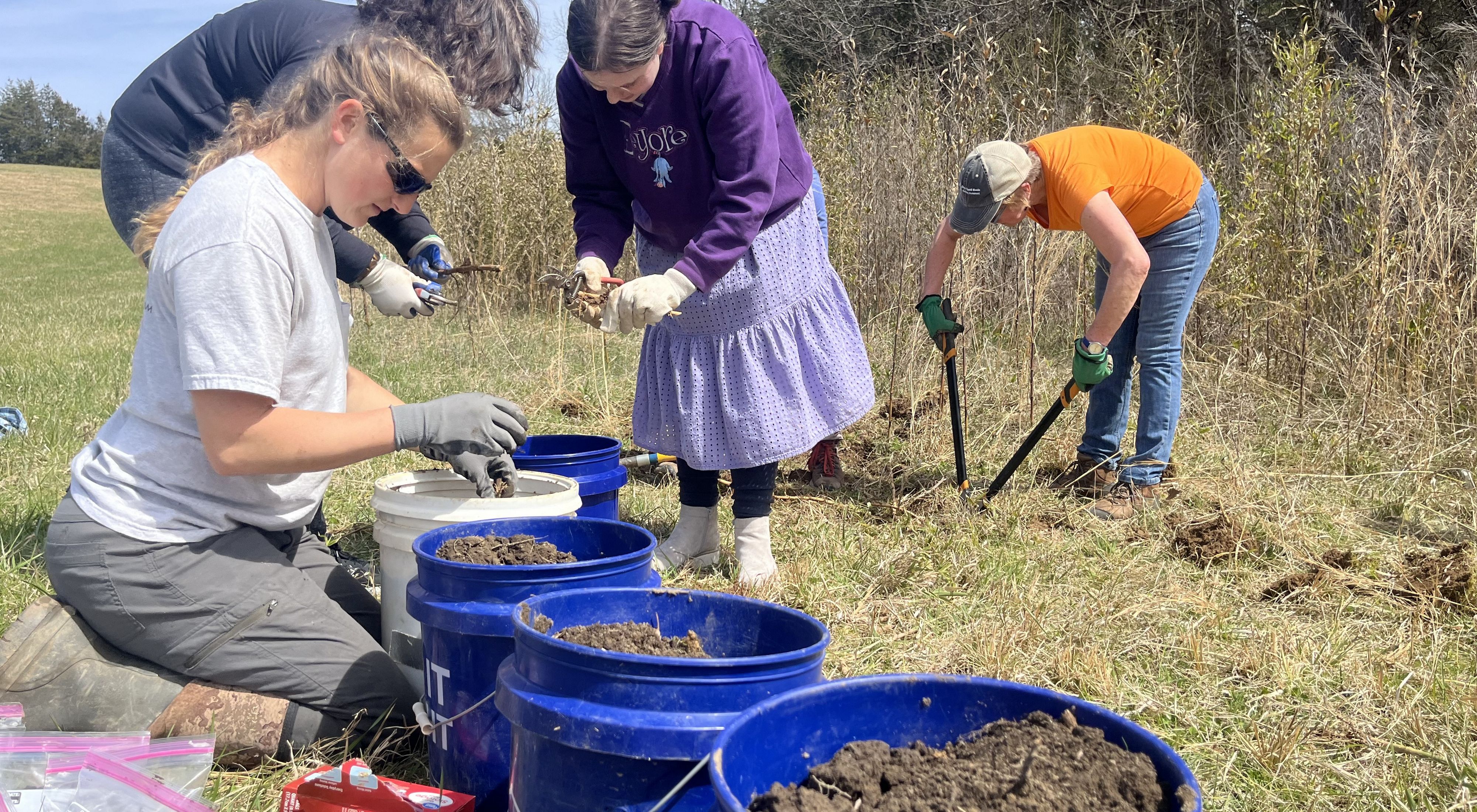 Three volunteers work in front of buckets of dirt and one works with shears in support of the Virginia Department of Conservation and Recreation's (DCR) native river cane restoration project.