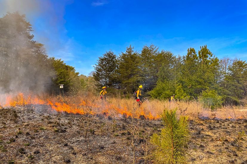 A small fire burns in a field in front of a tree line and three people dressed in yellow fire gear.