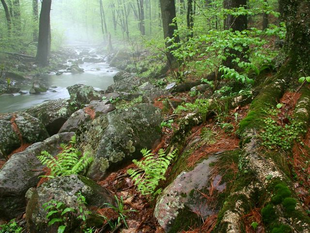 Mist hangs over small stream that flows through green forested landscape with granite boulders along shoreline