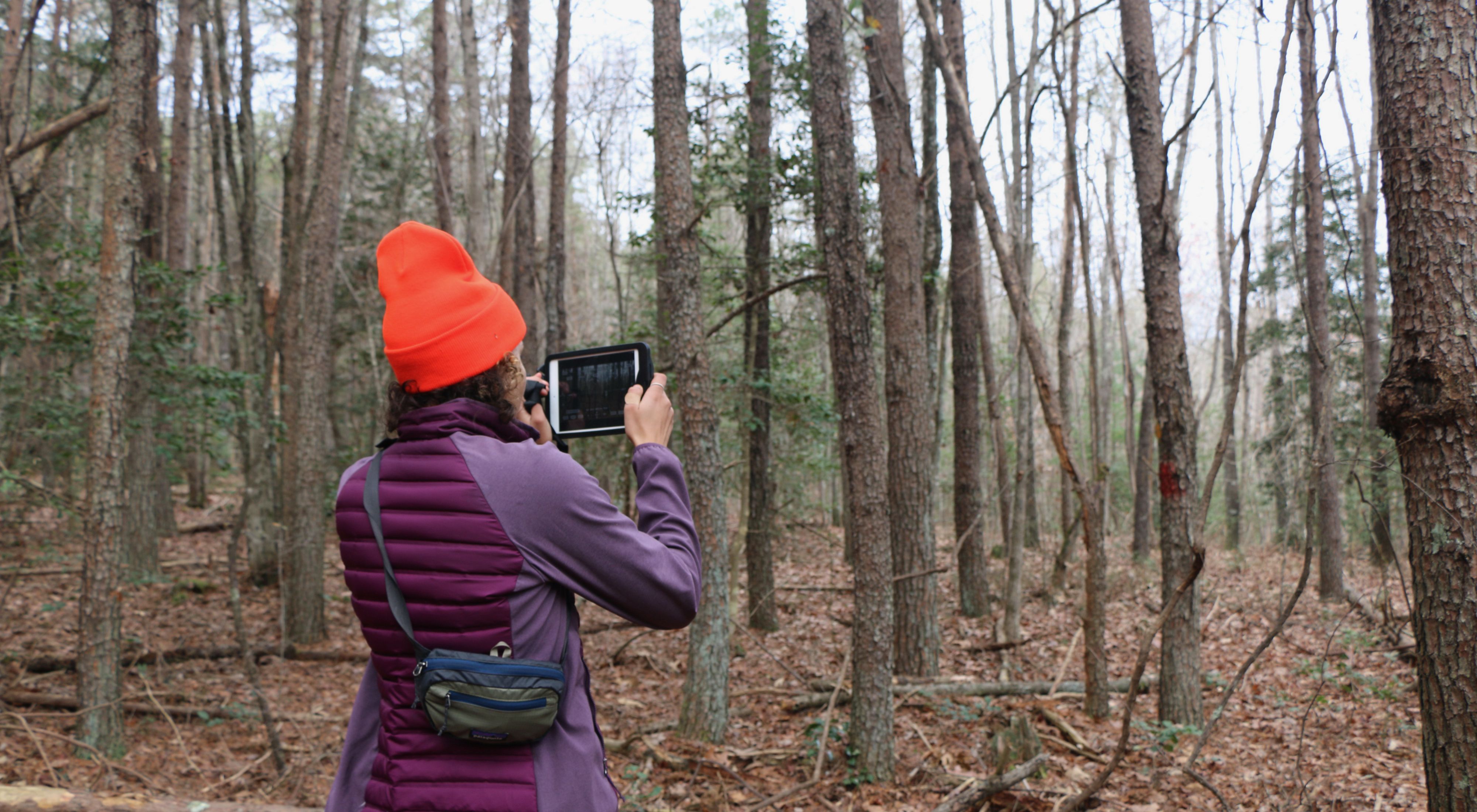 Lauren Goodman photographs a forest with a tablet.