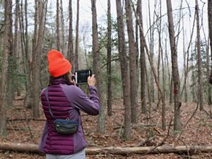 A person photographs a forest with a tablet.